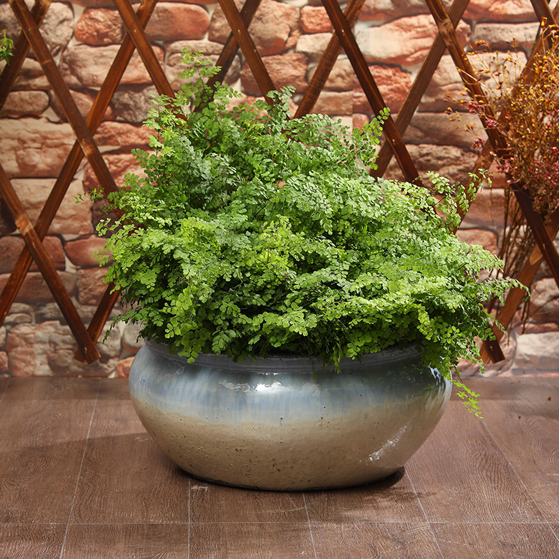 Pots de jardin, jardinières en céramique, grand pot de fleurs d'extérieur